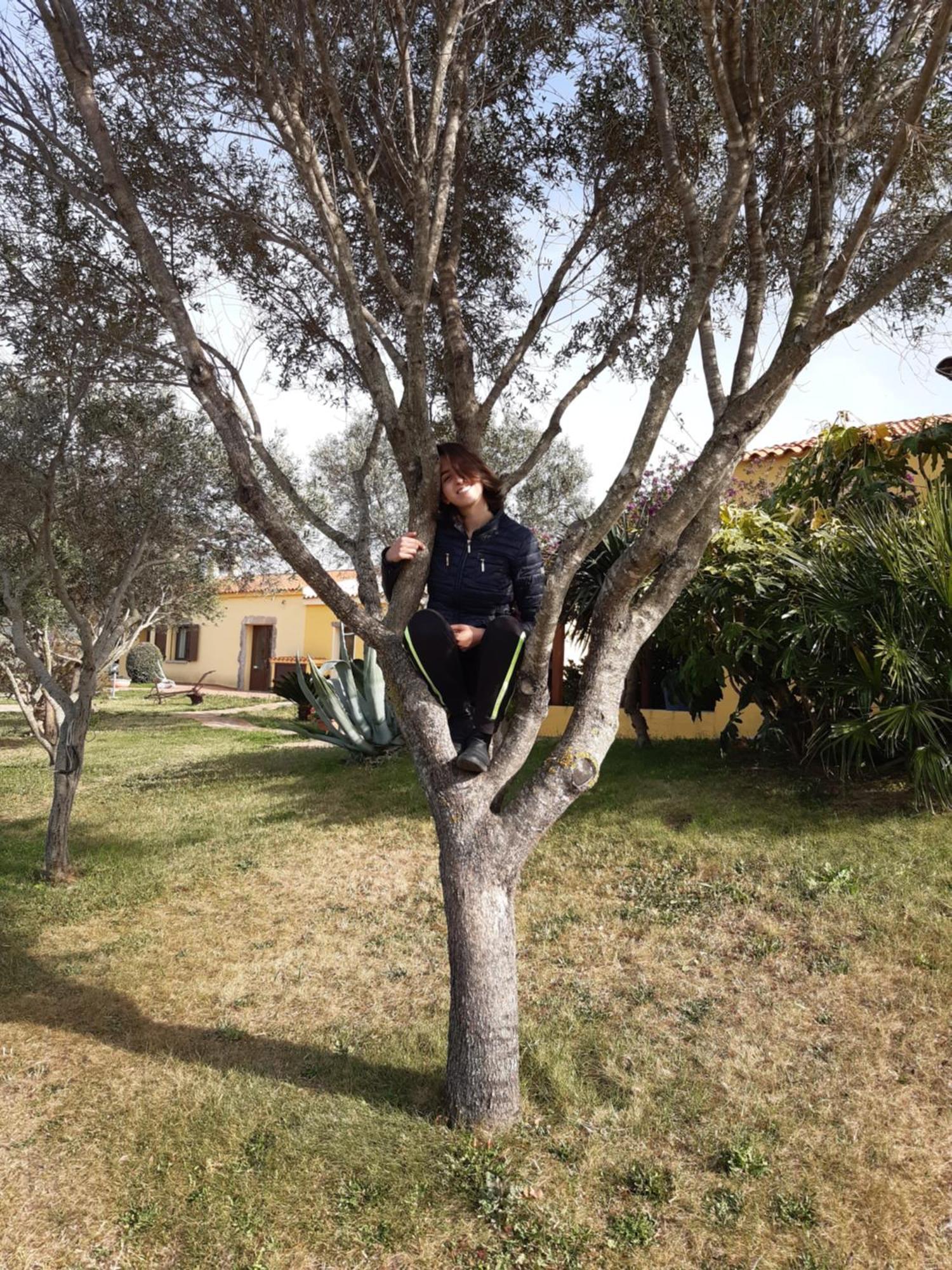 Vakantieboerderij Campesi Casale Tra Le Vigne Aglientu