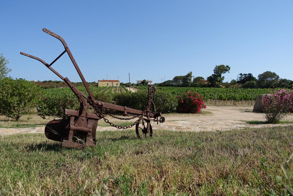 Campesi Casale Tra Le Vigne Farm stay Aglientu
