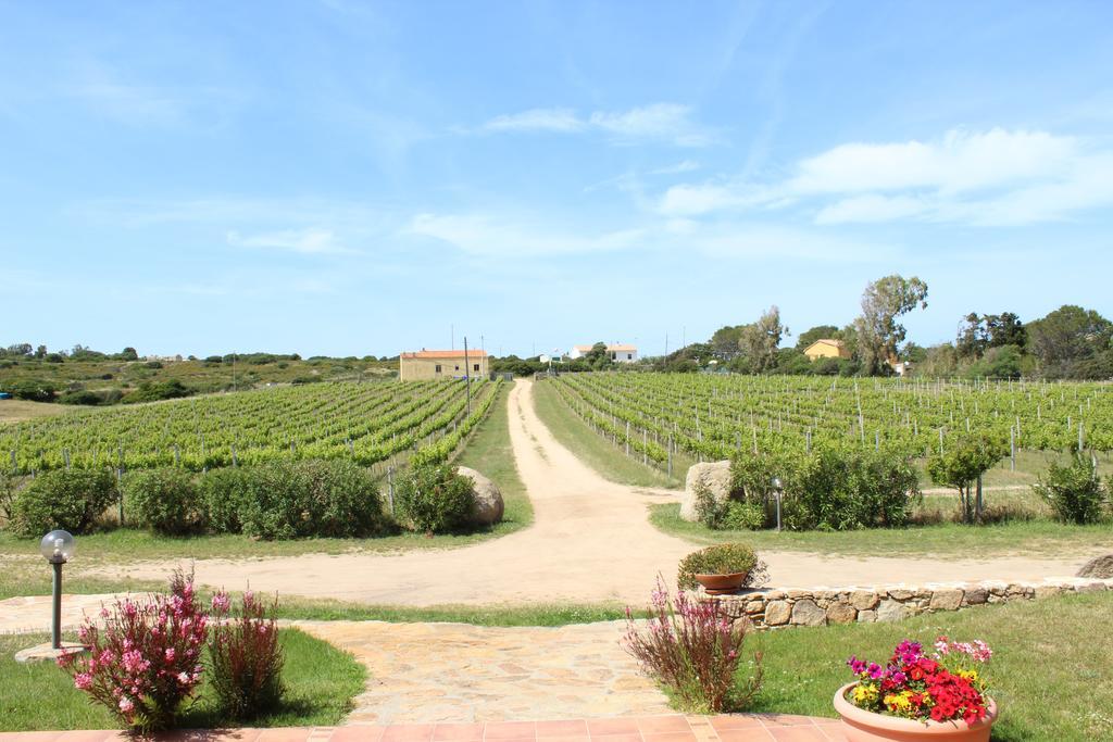 Campesi Casale Tra Le Vigne Farm stay *