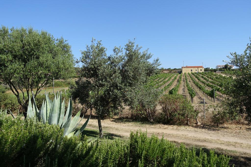 Campesi Casale Tra Le Vigne Vakantieboerderij Aglientu