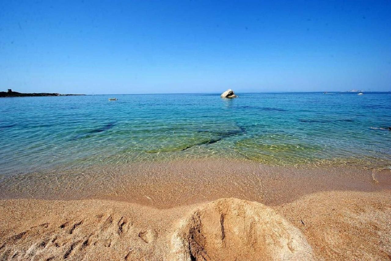 Campesi Casale Tra Le Vigne Vakantieboerderij Aglientu