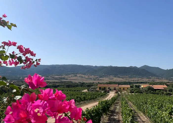 Agriturismo Campesi Casale Tra Le Vigne