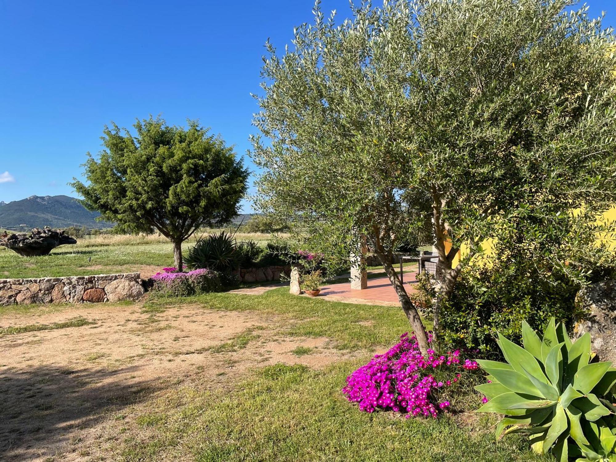 Campesi Casale Tra Le Vigne *