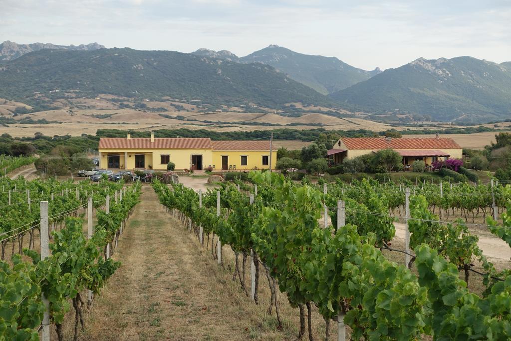 Farm stay Campesi Casale Tra Le Vigne Aglientu