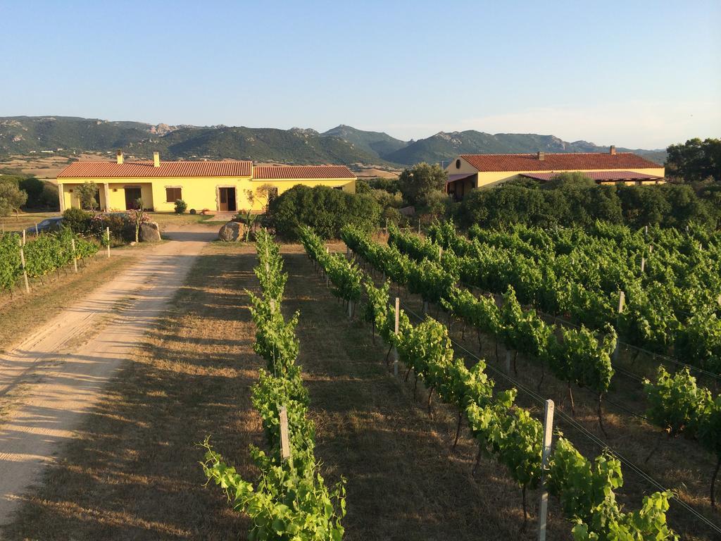 Campesi Casale Tra Le Vigne Farm stay *