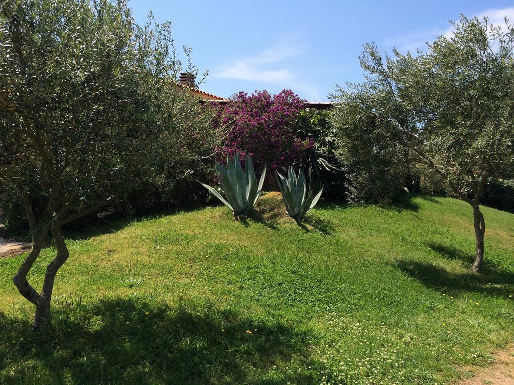 Campesi Casale Tra Le Vigne * Aglientu