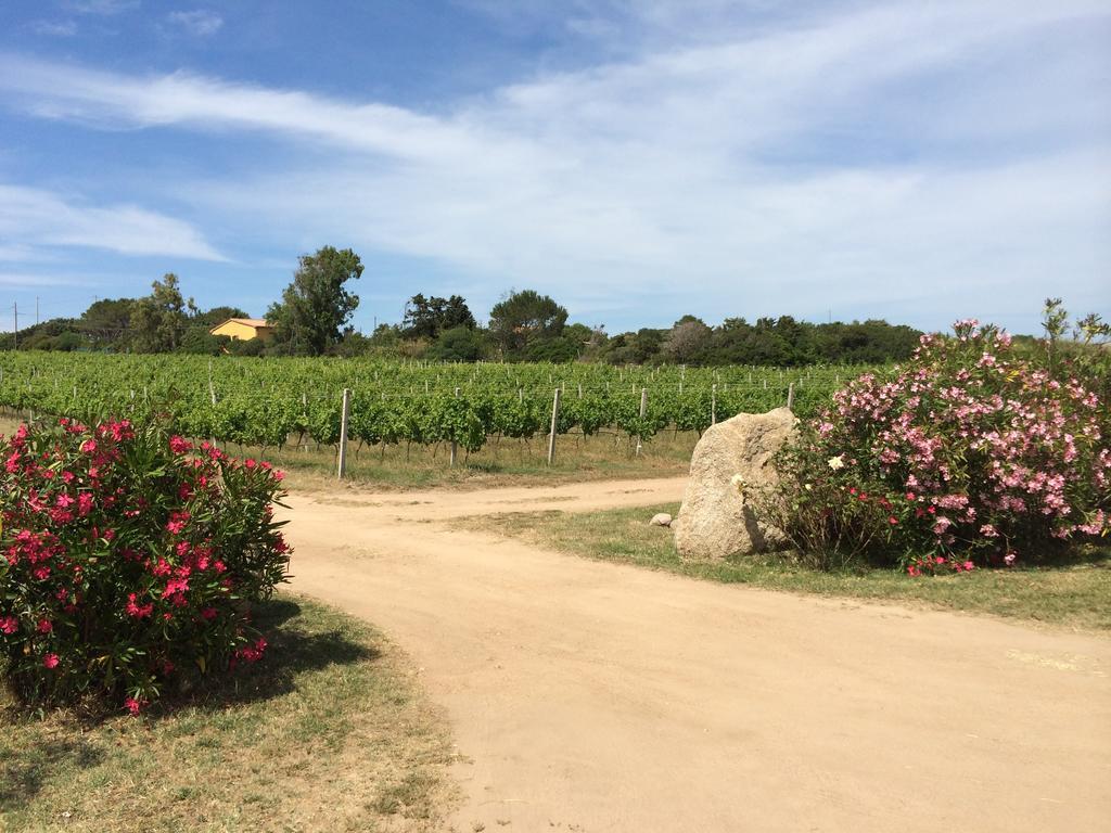 Campesi Casale Tra Le Vigne *