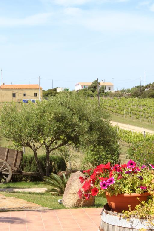 Campesi Casale Tra Le Vigne Farm stay *