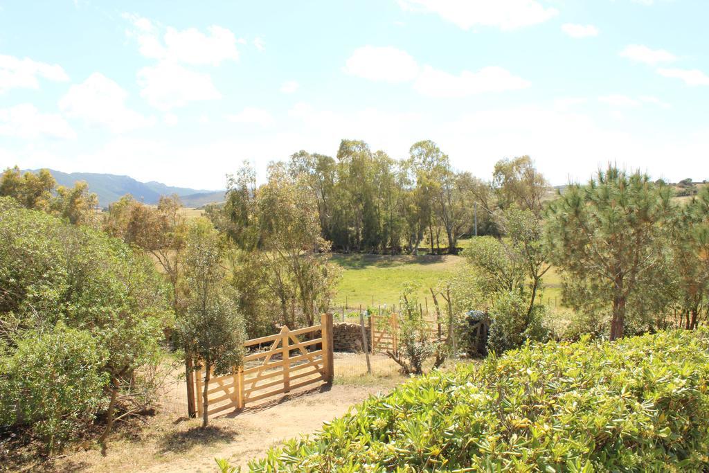 Campesi Casale Tra Le Vigne