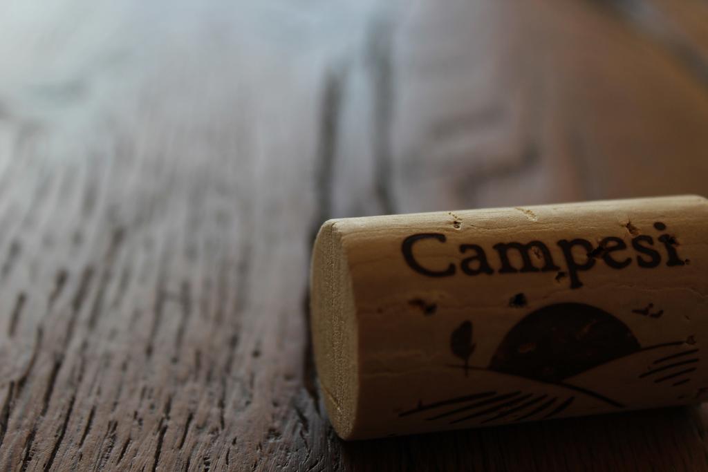 Campesi Casale Tra Le Vigne * Aglientu