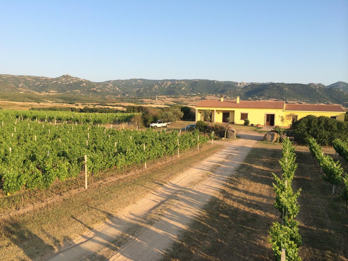 Campesi Casale Tra Le Vigne * Aglientu