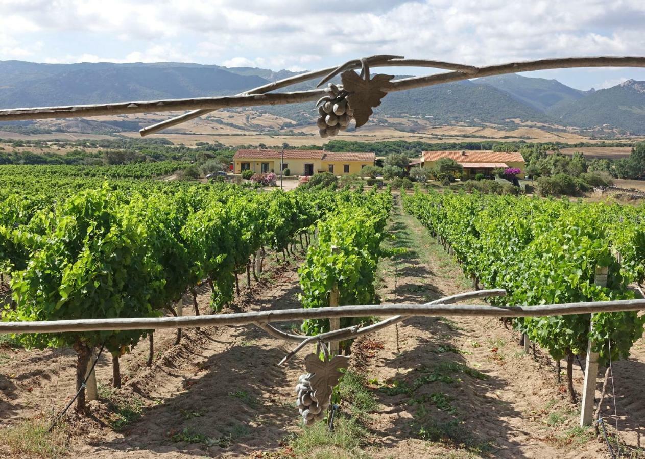 Farm stay Campesi Casale Tra Le Vigne