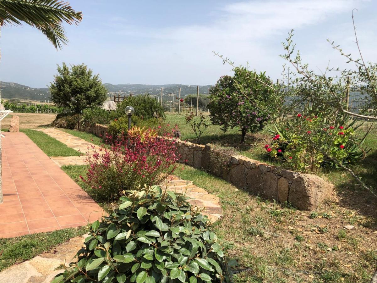 Farm stay Campesi Casale Tra Le Vigne *
